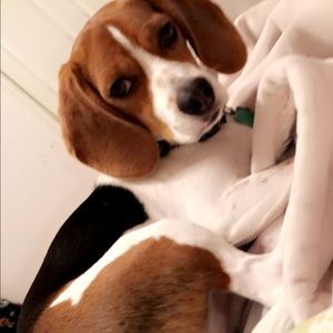 Meet your Posher, Cristina